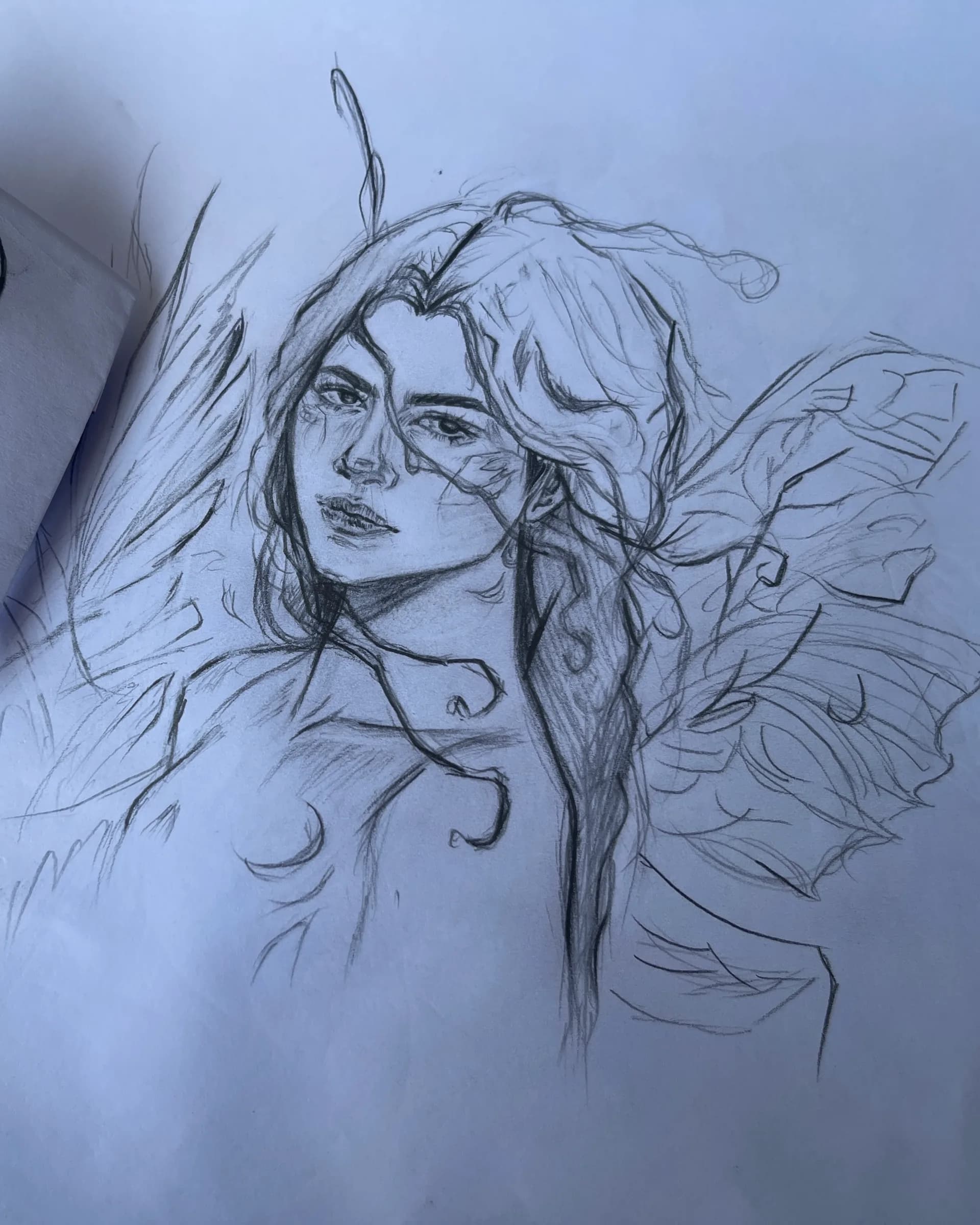 Hand-drawn graphite fantasy character portrait featuring a young figure with flowing hair and large butterfly-like wings, created by Ammama Sketch.